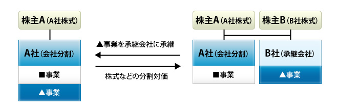 新設分割