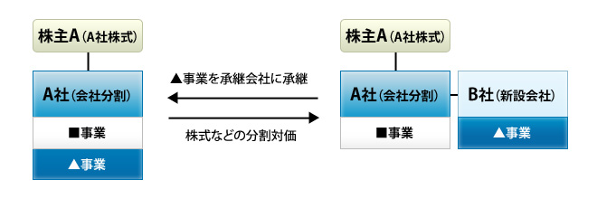 新設分割