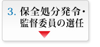 保全処分発令・監督委員の選任